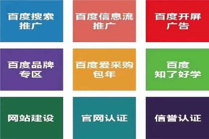 专业SEM运营托管服务案例分析